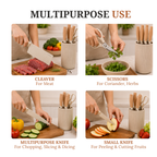 Premium 6-Piece Stainless Steel Kitchen Knife Set