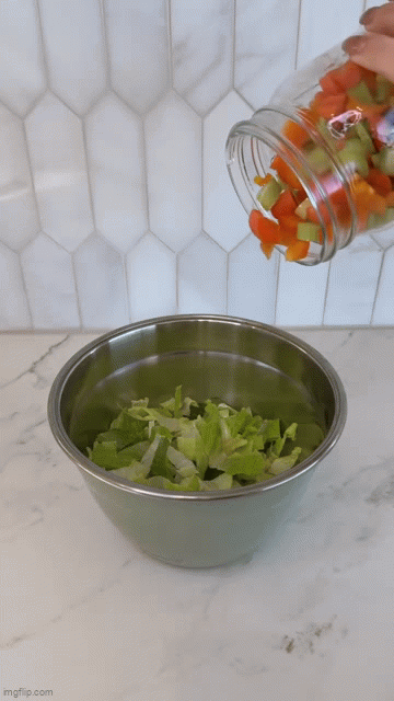 Stainless Steel Salad Bowl Kit
